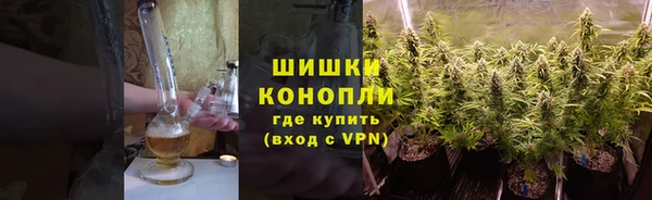 ГАЛЛЮЦИНОГЕННЫЕ ГРИБЫ Армянск