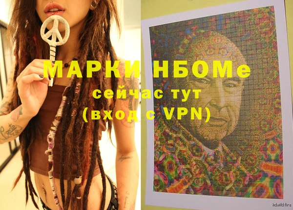 молекула духа Арсеньев