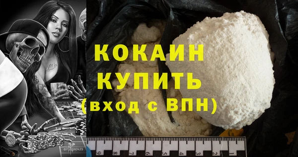 молекула духа Арсеньев