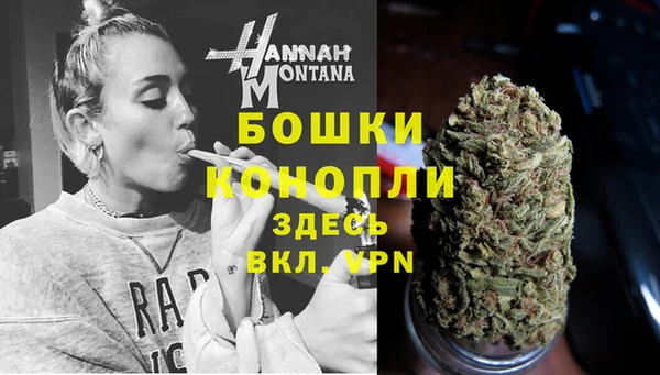 ГАЛЛЮЦИНОГЕННЫЕ ГРИБЫ Армянск