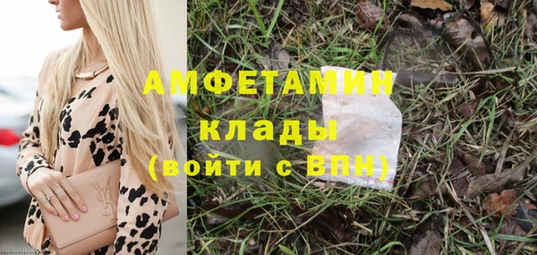 молекула духа Арсеньев