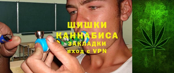 молекула духа Арсеньев