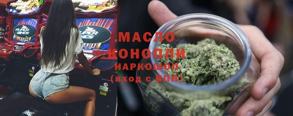 молекула духа Арсеньев