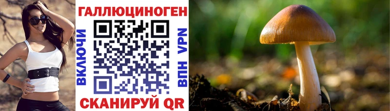Псилоцибиновые грибы мицелий  Аркадак 